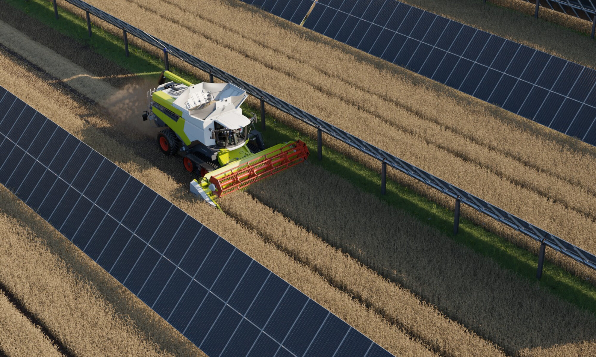 Visuel montrant une solution agrivoltaïque de trackers dans un champ de blé avec une moissonneuse en train de faucher